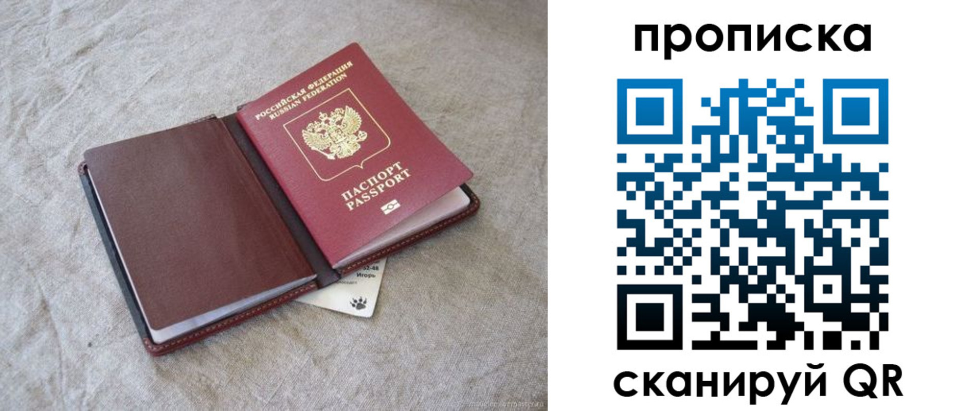 найти адрес прописки в Ногинске